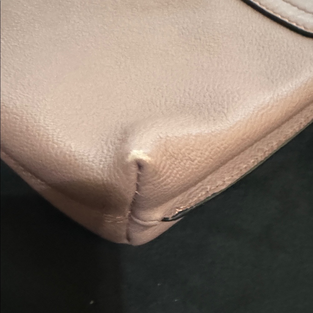 Burberry Dusty Pink Leather Crossbody Bag Gold Hardware - Picture 9 of 15